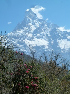 Macchapuchare depuis Low Camp sur le trek du Mardi Himal