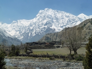 Annapurna III depuis le village de Chulu après Upper Pisang